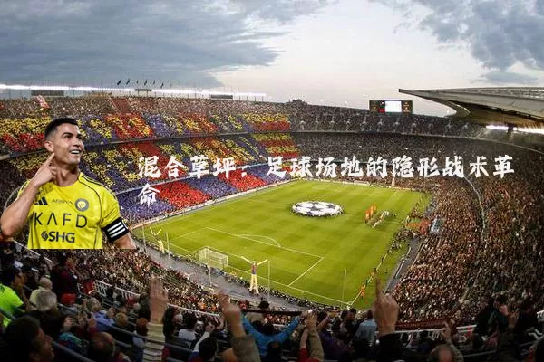 混合草坪:足球场地的隐形战术革命